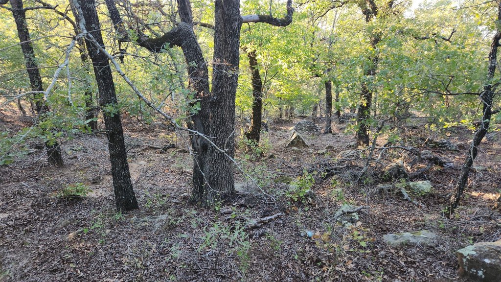 Picture 2