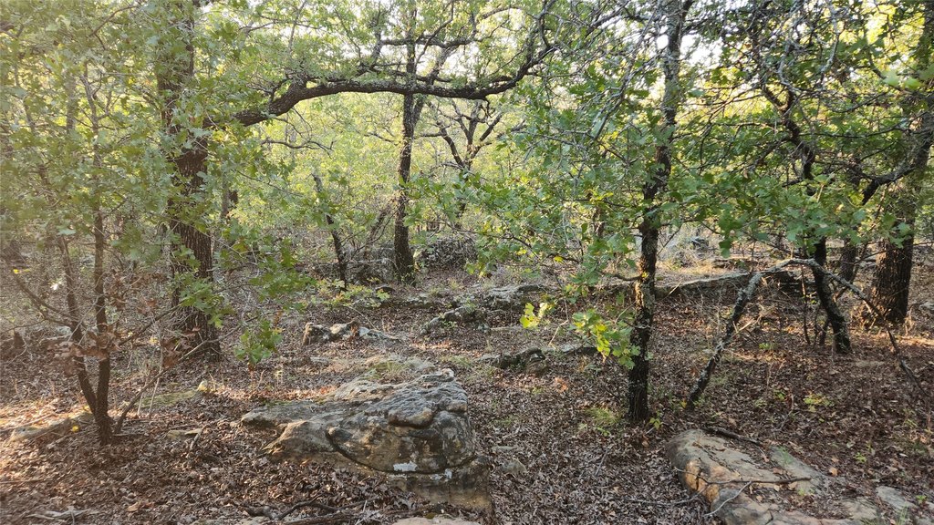 Picture 8