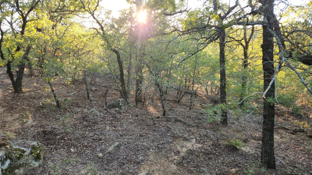 Picture 3