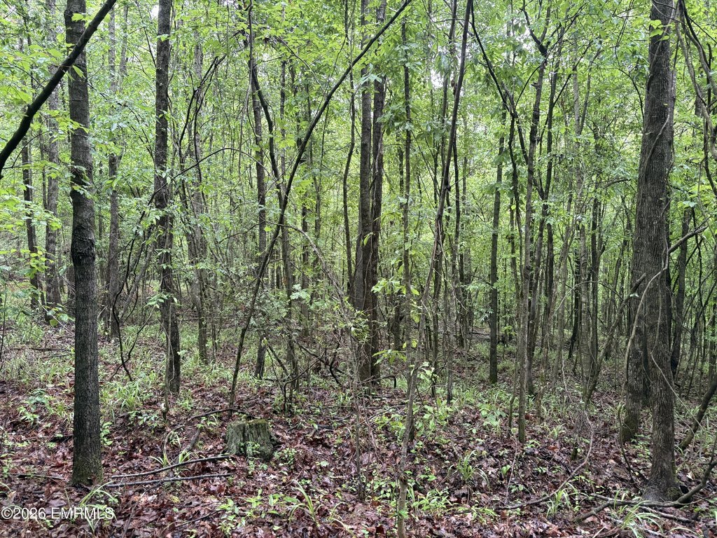Picture 16