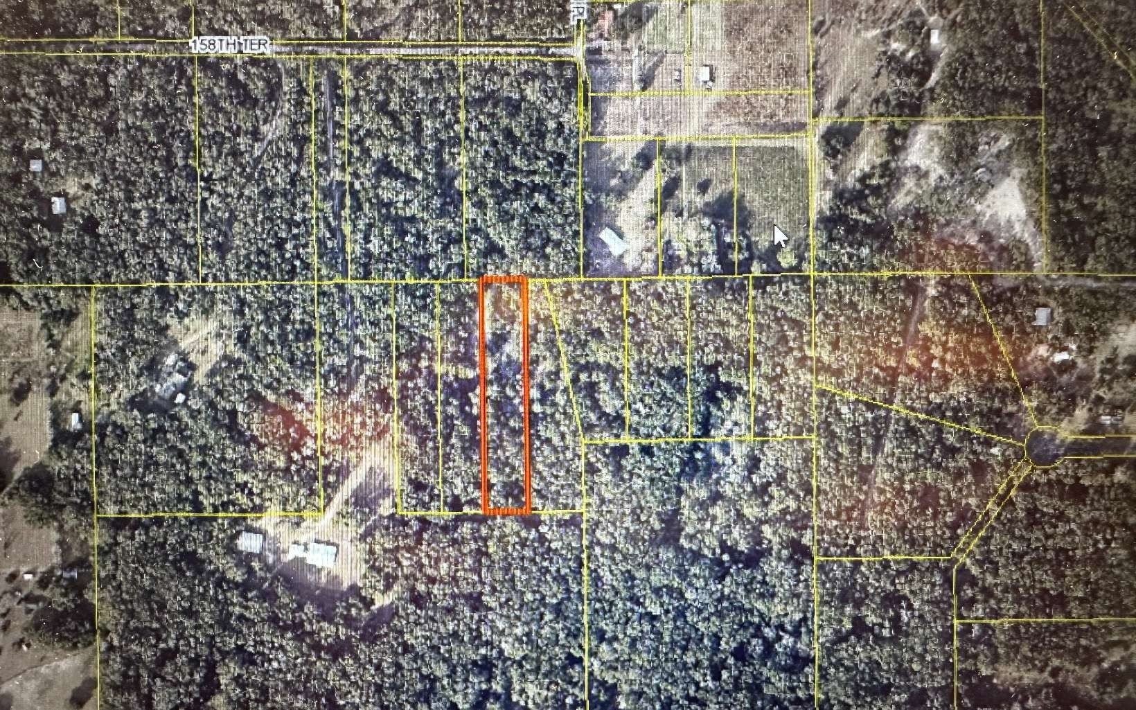 McAlpin, FL Wooded Parcel