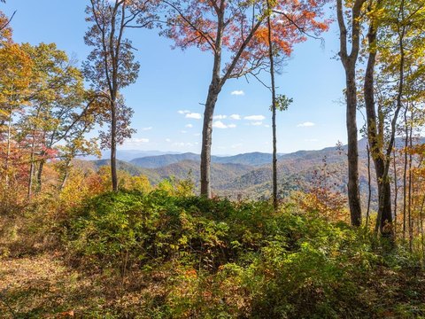 Whittier Land with Mountain Views