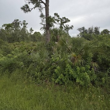 Port Charlotte Vacant Land Opportunity