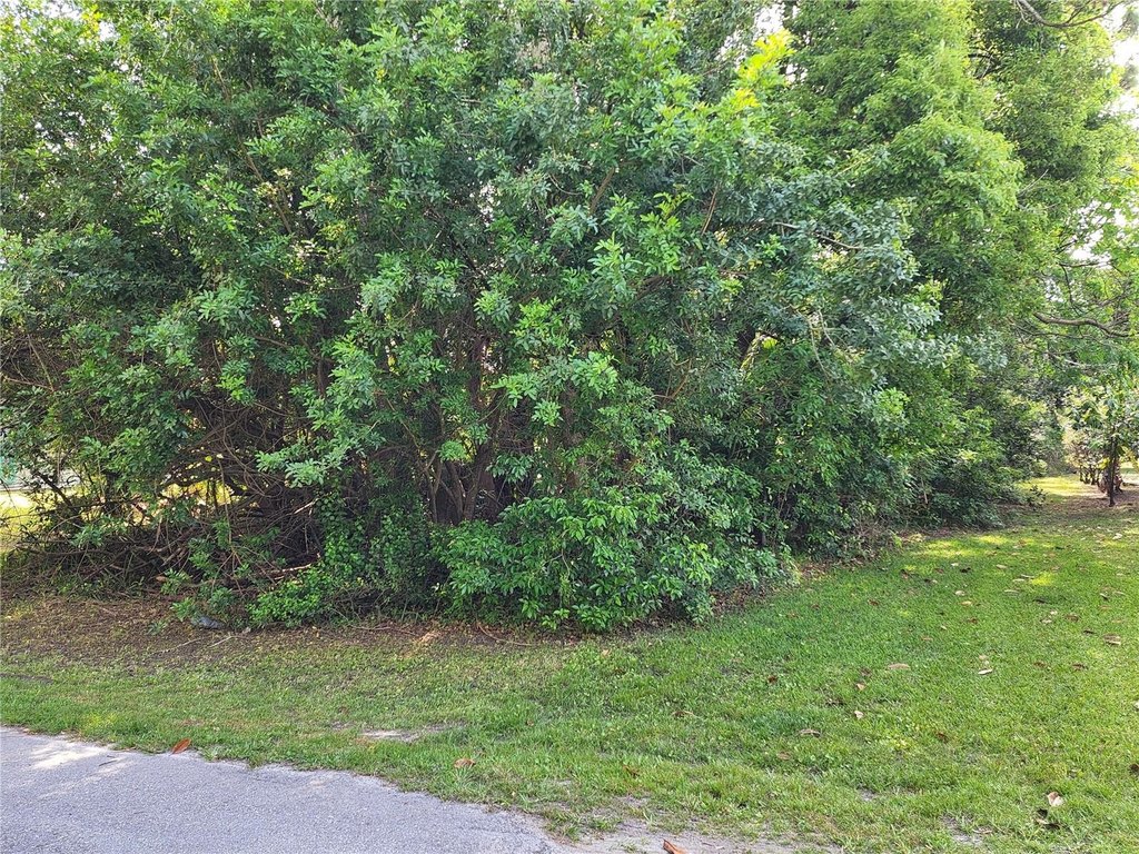 Picture 2