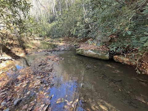 Creek Front Land, Dugspur, VA
