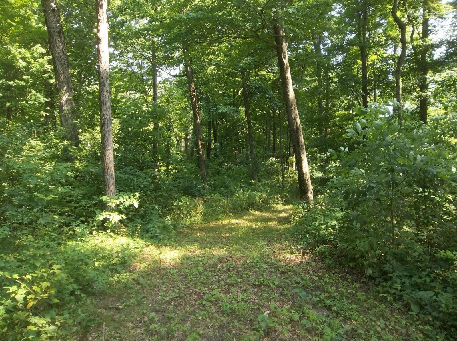 16 Acres Vacant Land