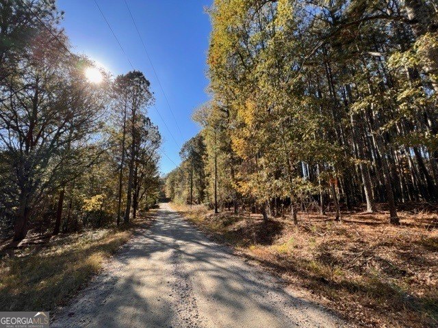 24.95 Acres Raw Land