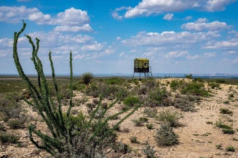 West Texas Hunting Ranch