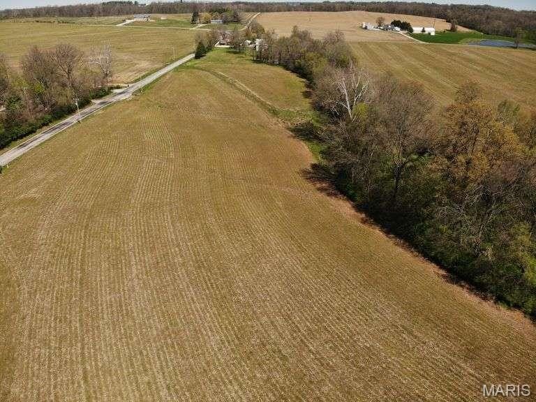 Picture 14