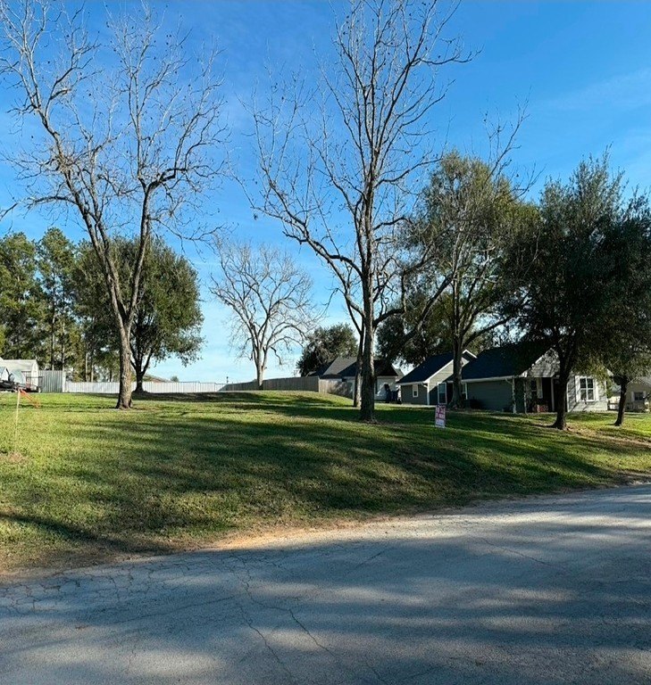 Picture 2