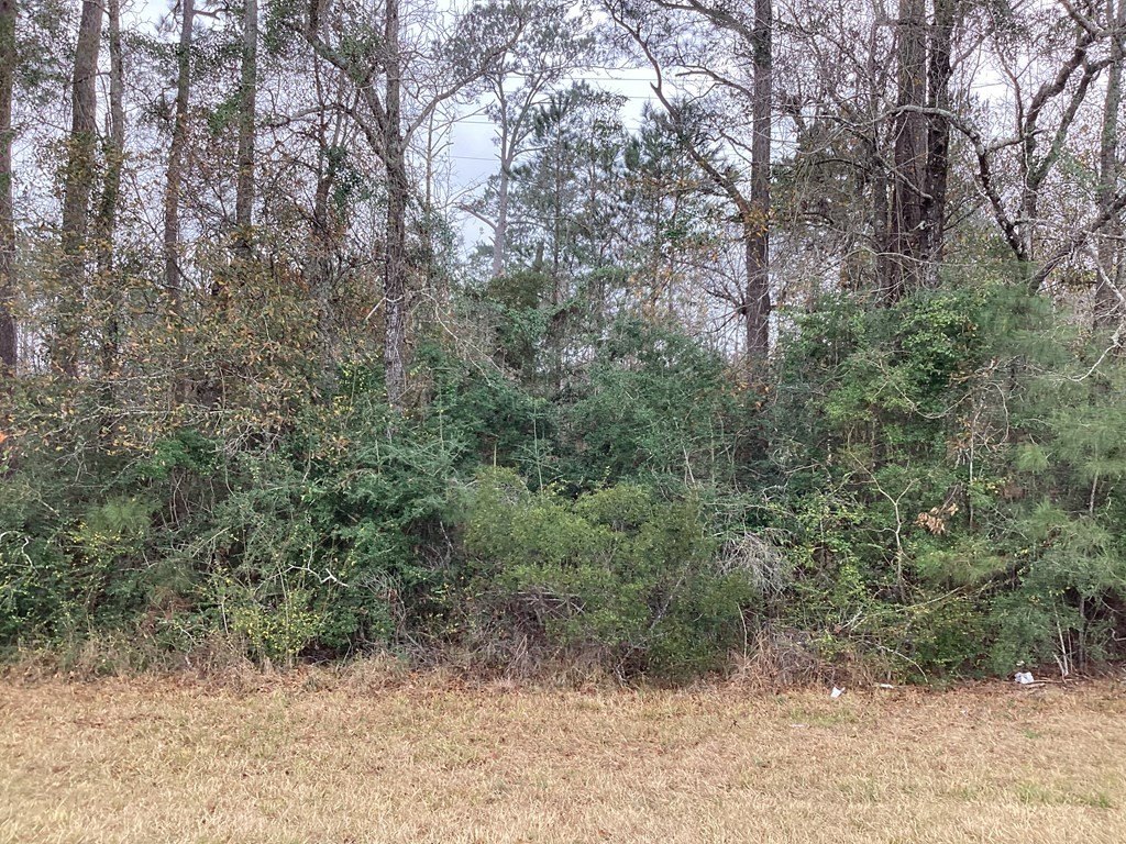 Picture 2