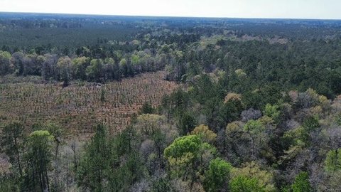 Kirbyville Land For Sale