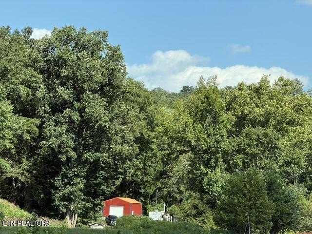 Picture 7