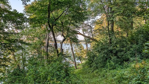 LAND - Albert Lea, MN