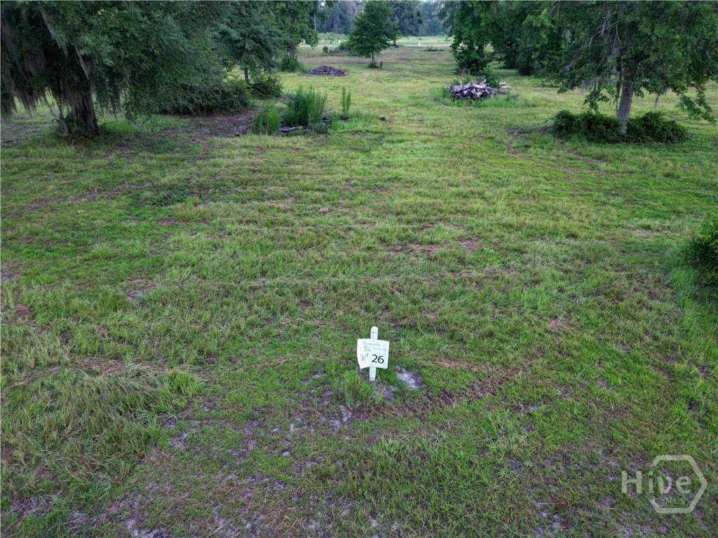 Picture 8