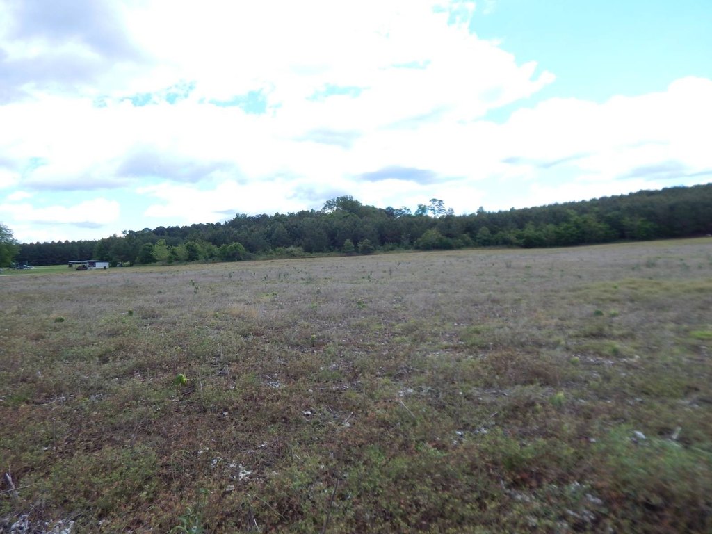 Picture 24