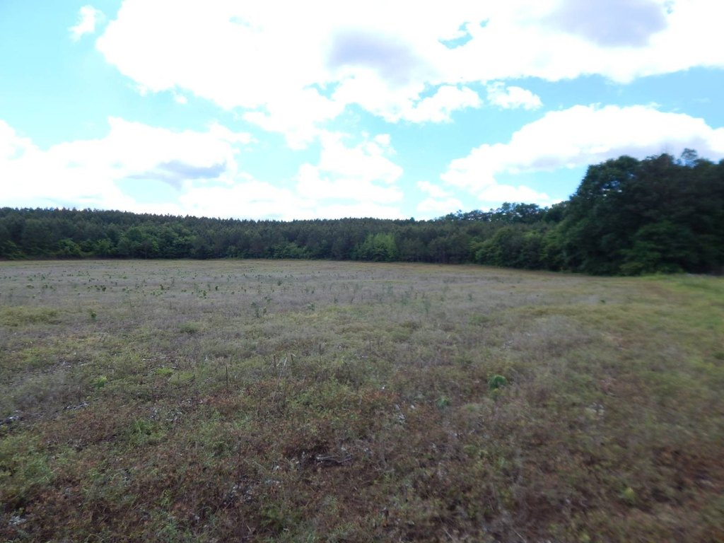 Picture 23