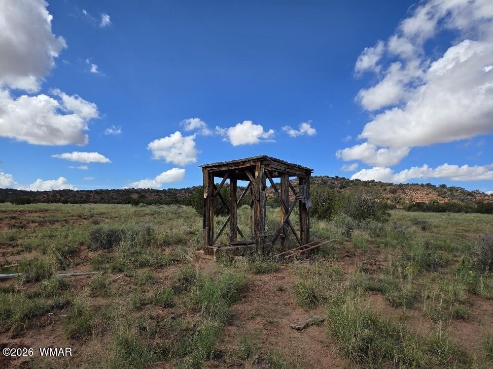Picture 20