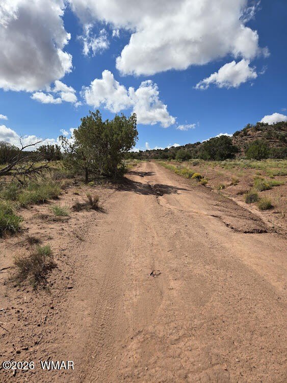 Picture 30