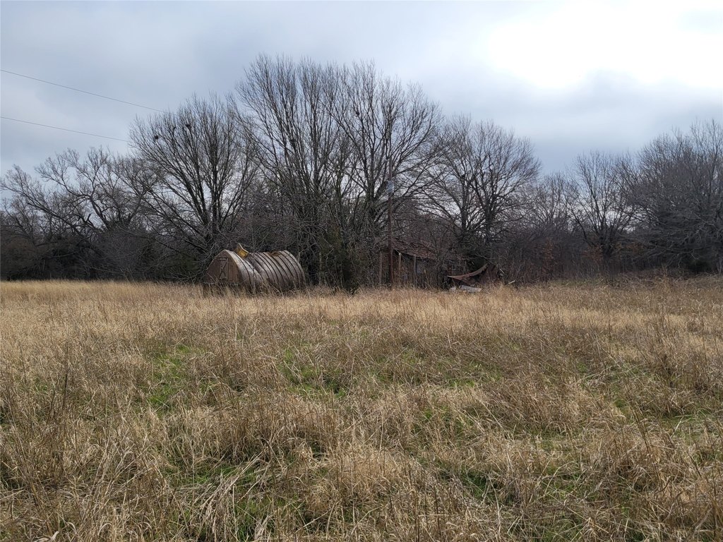 Picture 3