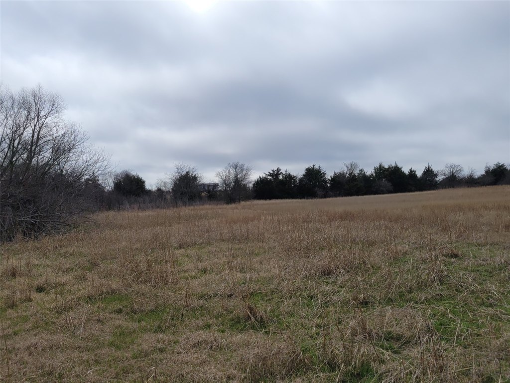 Picture 15