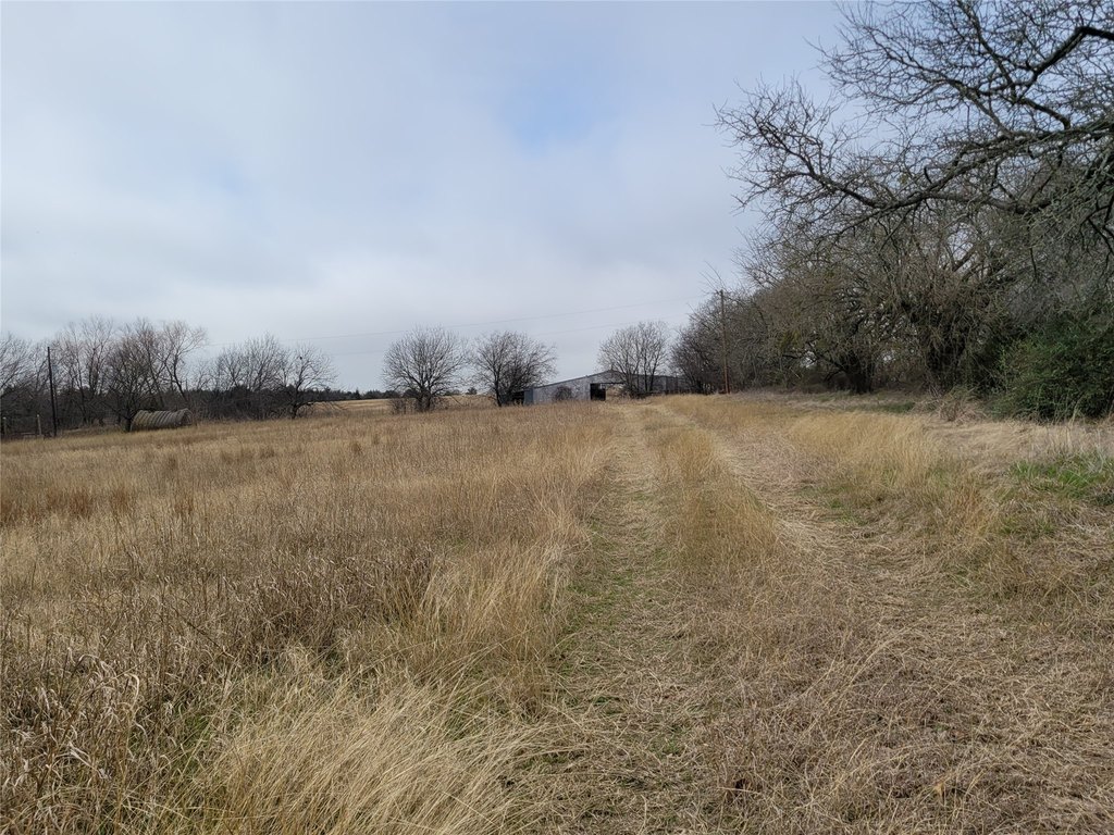 Picture 5