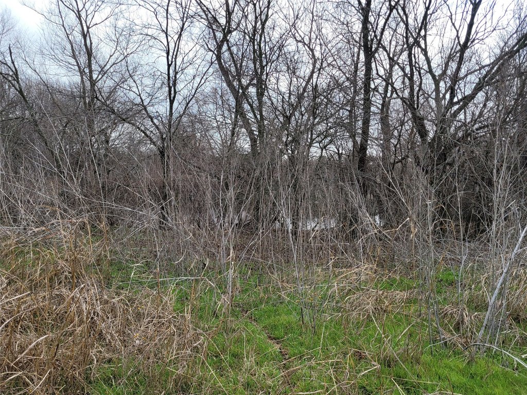 Picture 8