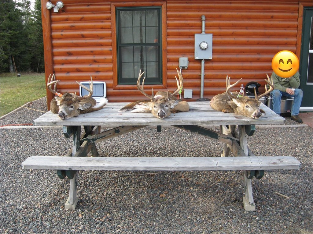 Picture 46