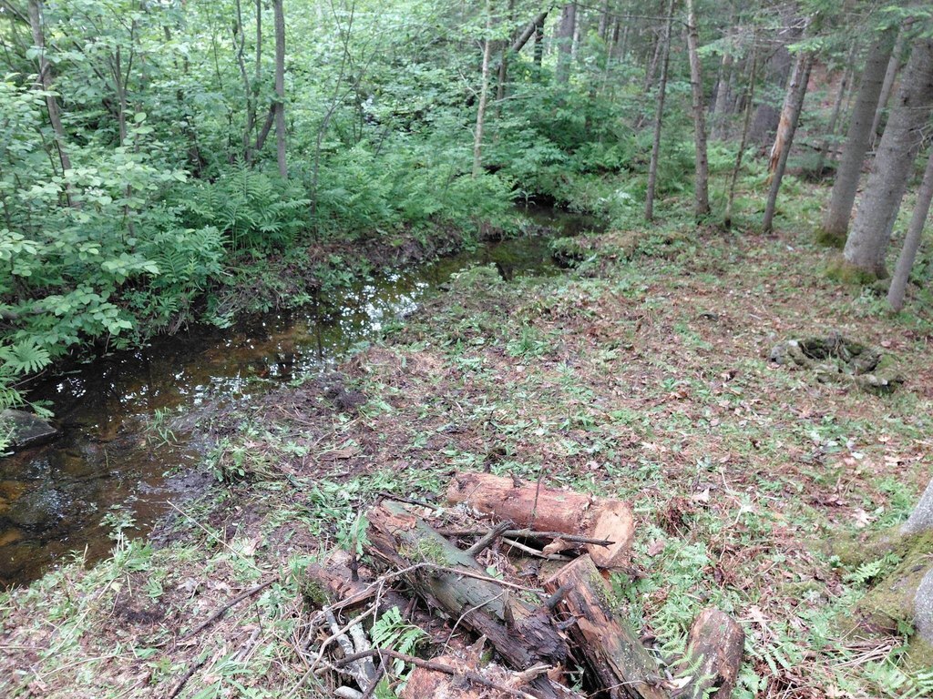 Picture 8