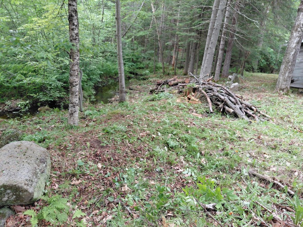 Picture 9