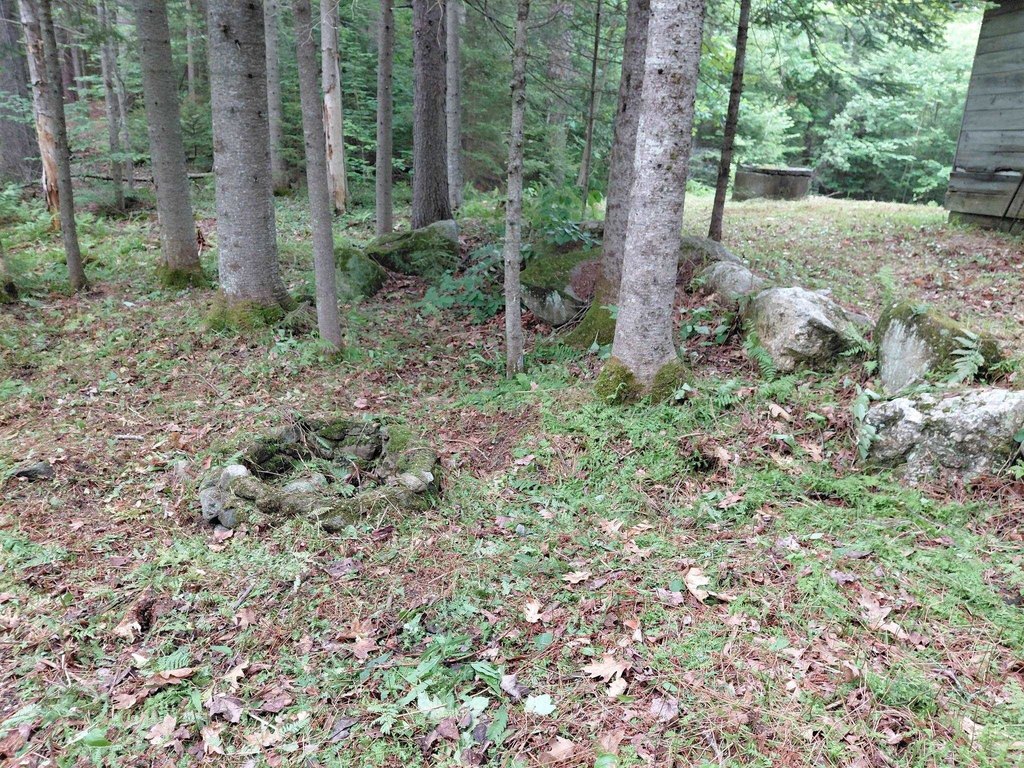 Picture 16