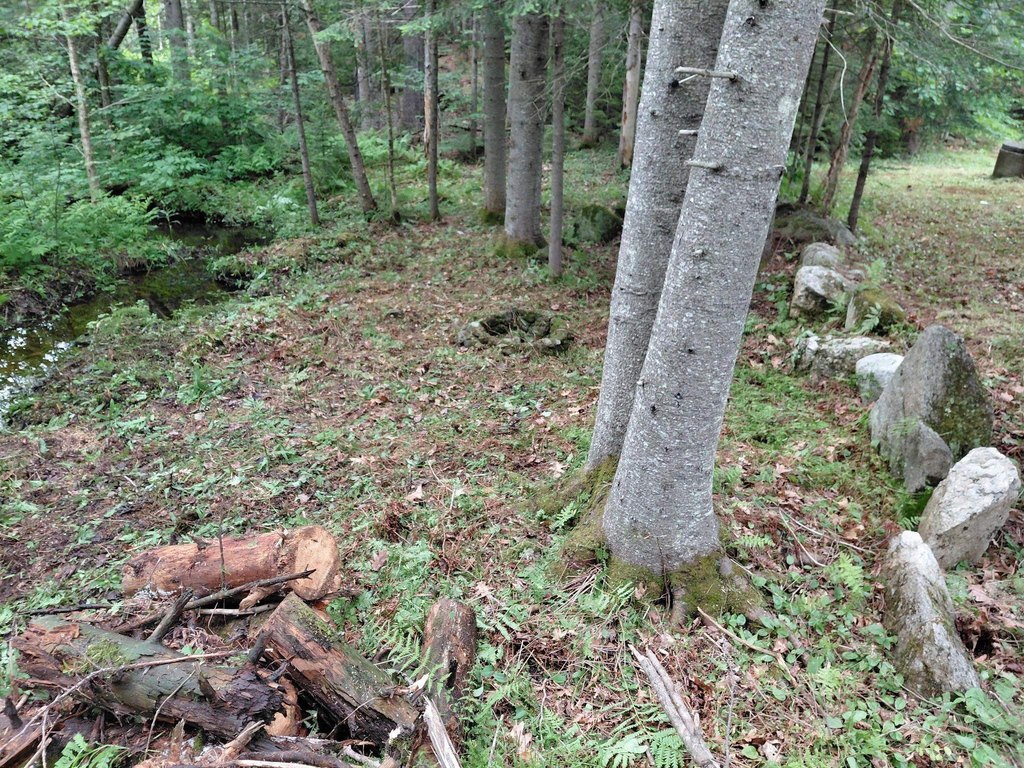 Picture 11