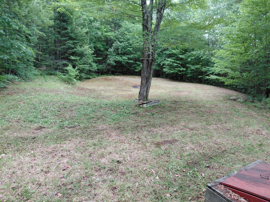Picture 13