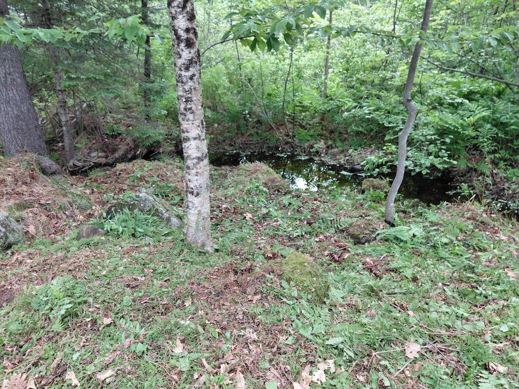 Picture 10