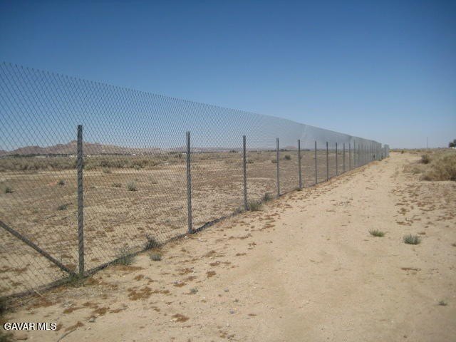 Picture 5