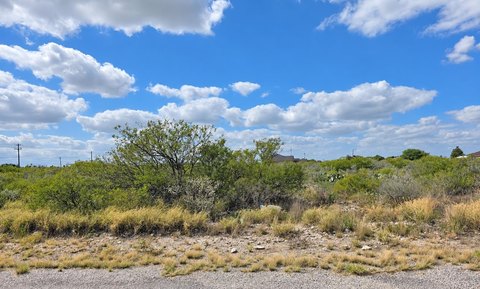 LOTS/LAND, Del Rio, TX