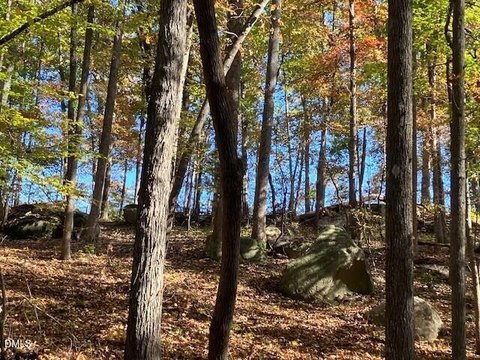 Residential Land in Roxboro, NC