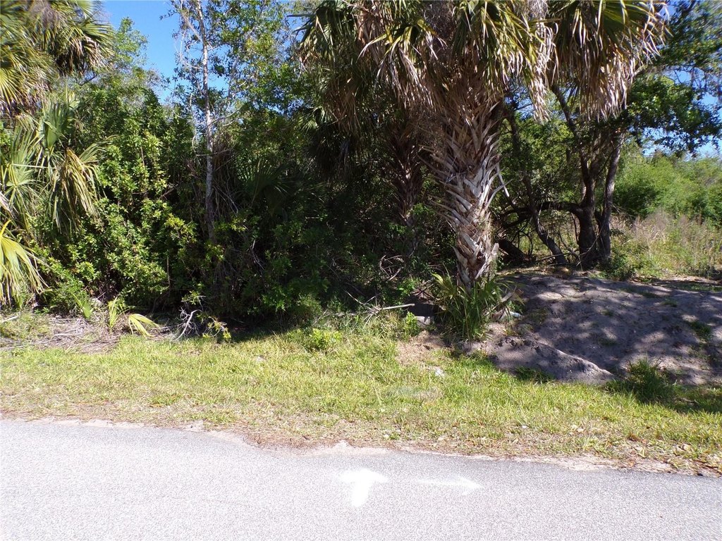 Picture 6