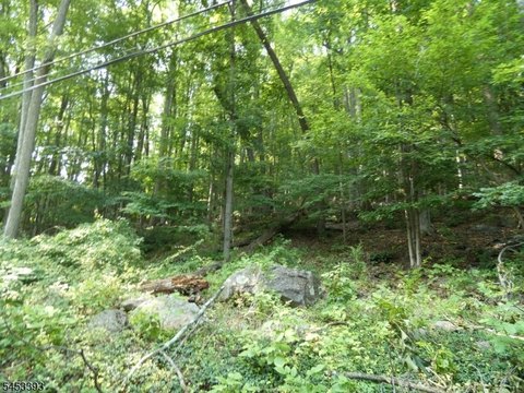 Lots and Land, Tewksbury Twp., NJ