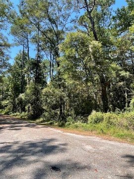 Undeveloped Lot in Mobile, AL
