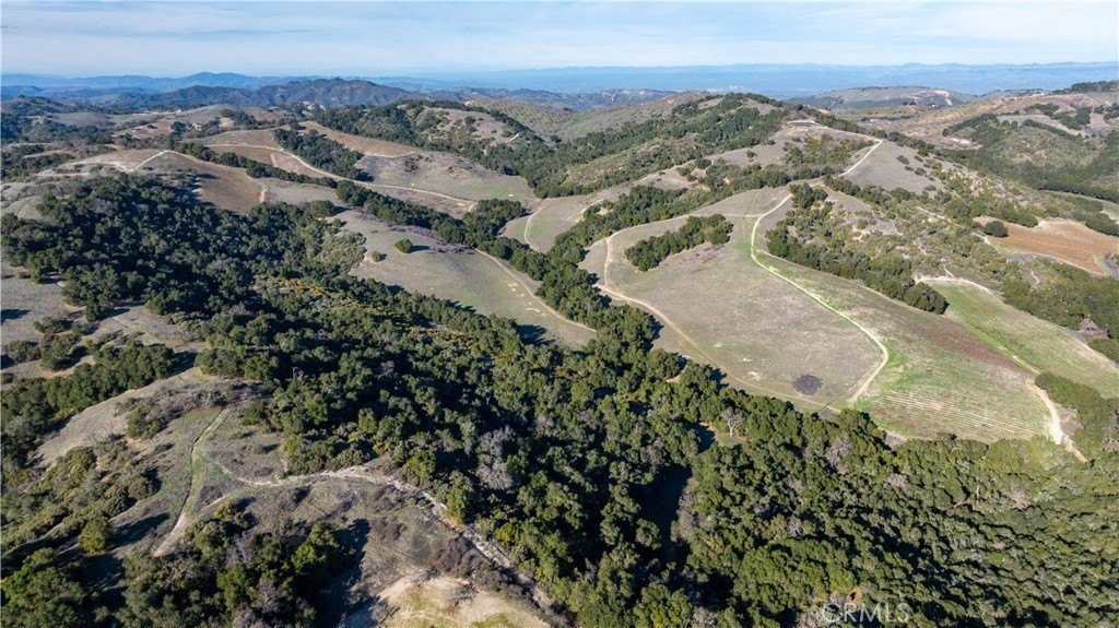 Paso Robles Vineyard Opportunity