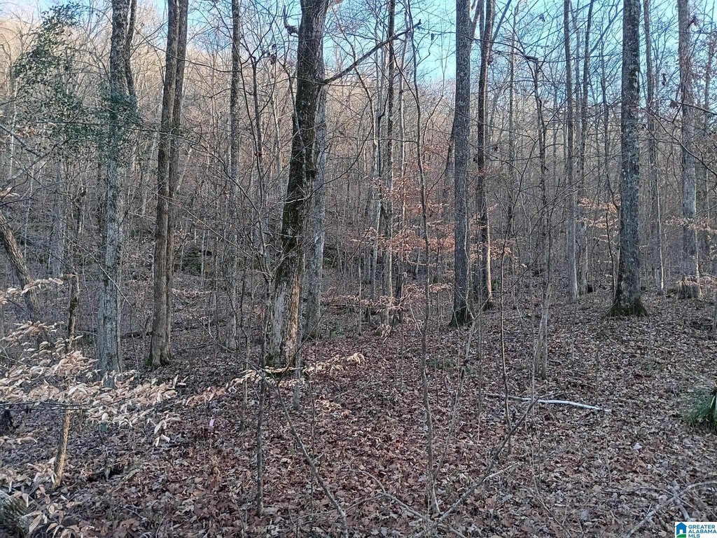 Picture 3
