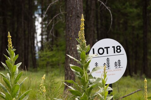 Whitefish Homesite in Forested Neighborhood