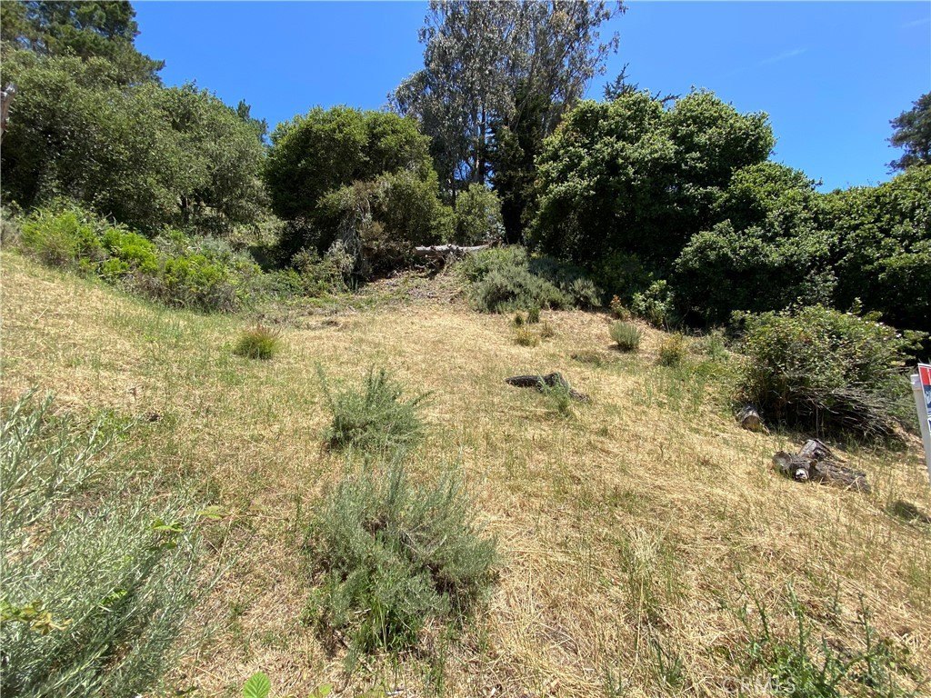 Picture 2