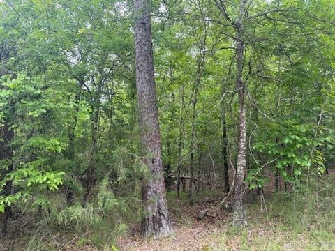 Land in Hot Springs Village