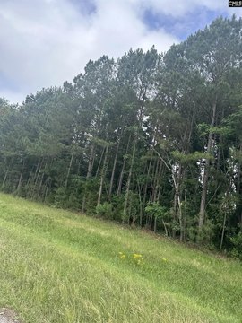 Versatile Land in Newberry, SC