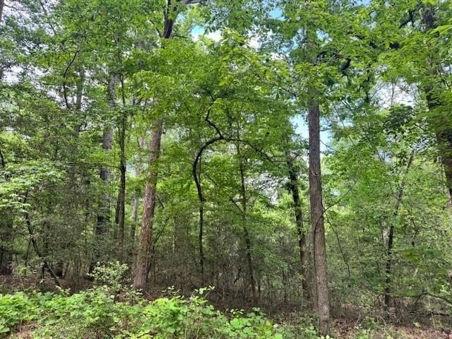 Lakefront Land in Etoile, TX