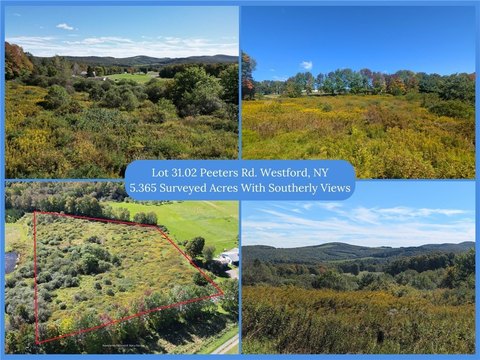 Land, Schenevus, NY