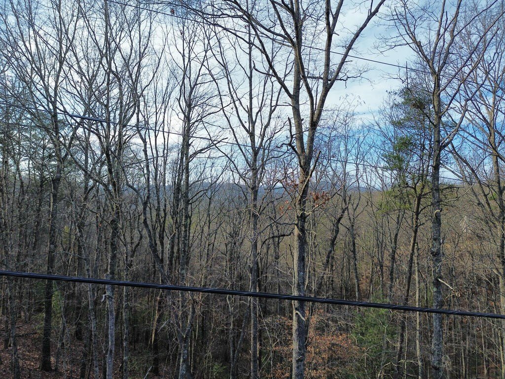 Picture 44