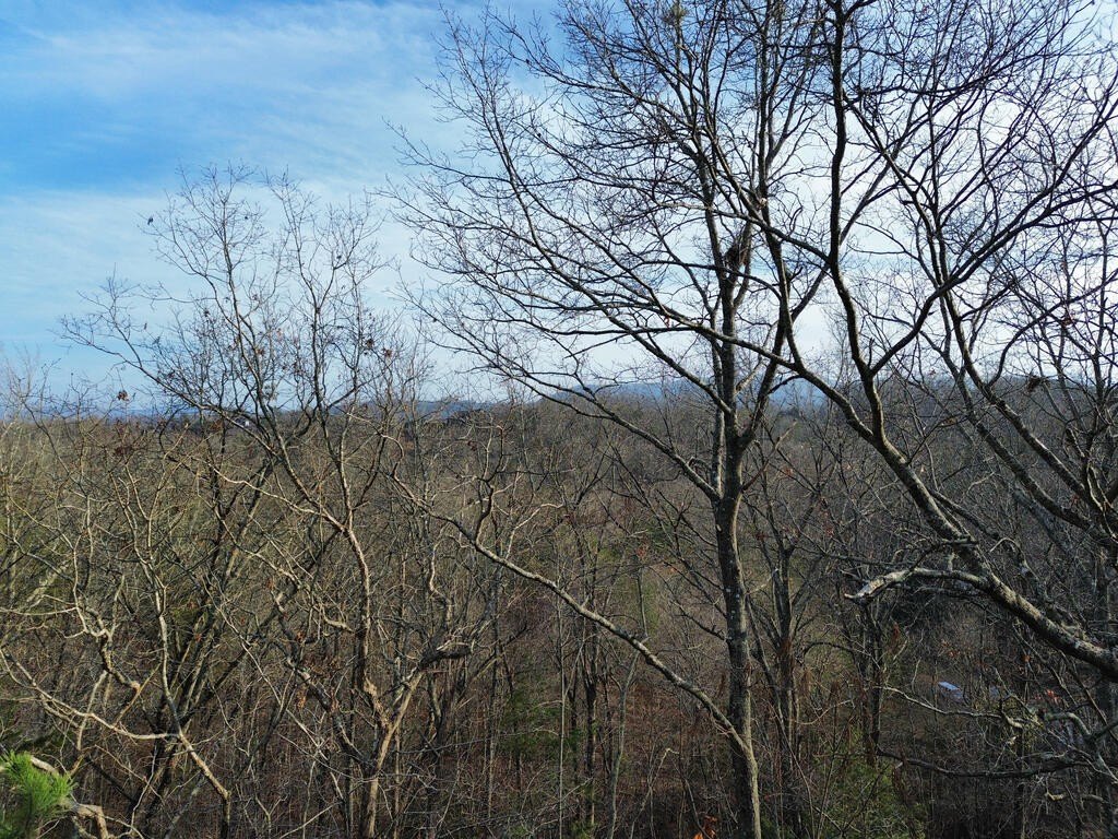 Picture 52